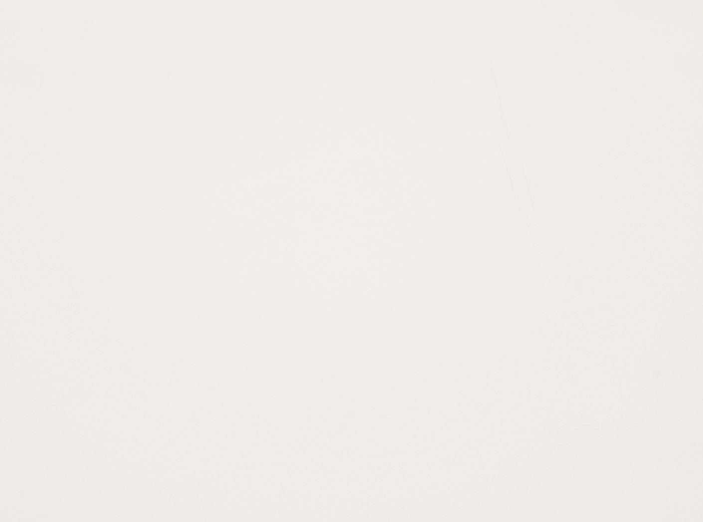 Challenger 020 Eggshell Challenger 020 Eggshell