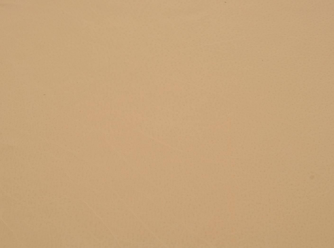 Challenger 016 Wheat Challenger 016 Wheat