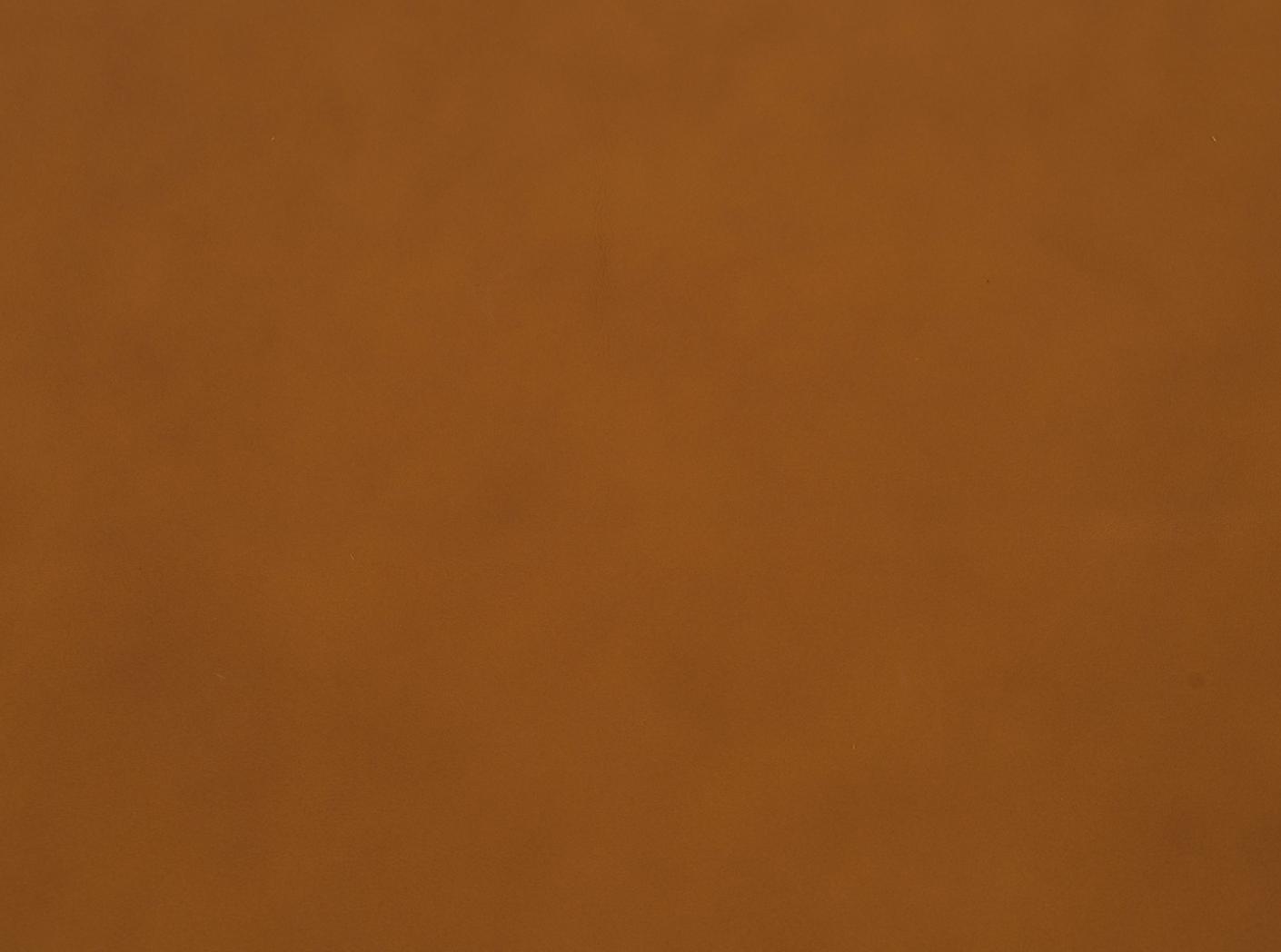 Challenger 036 Brandy Challenger 036 Brandy