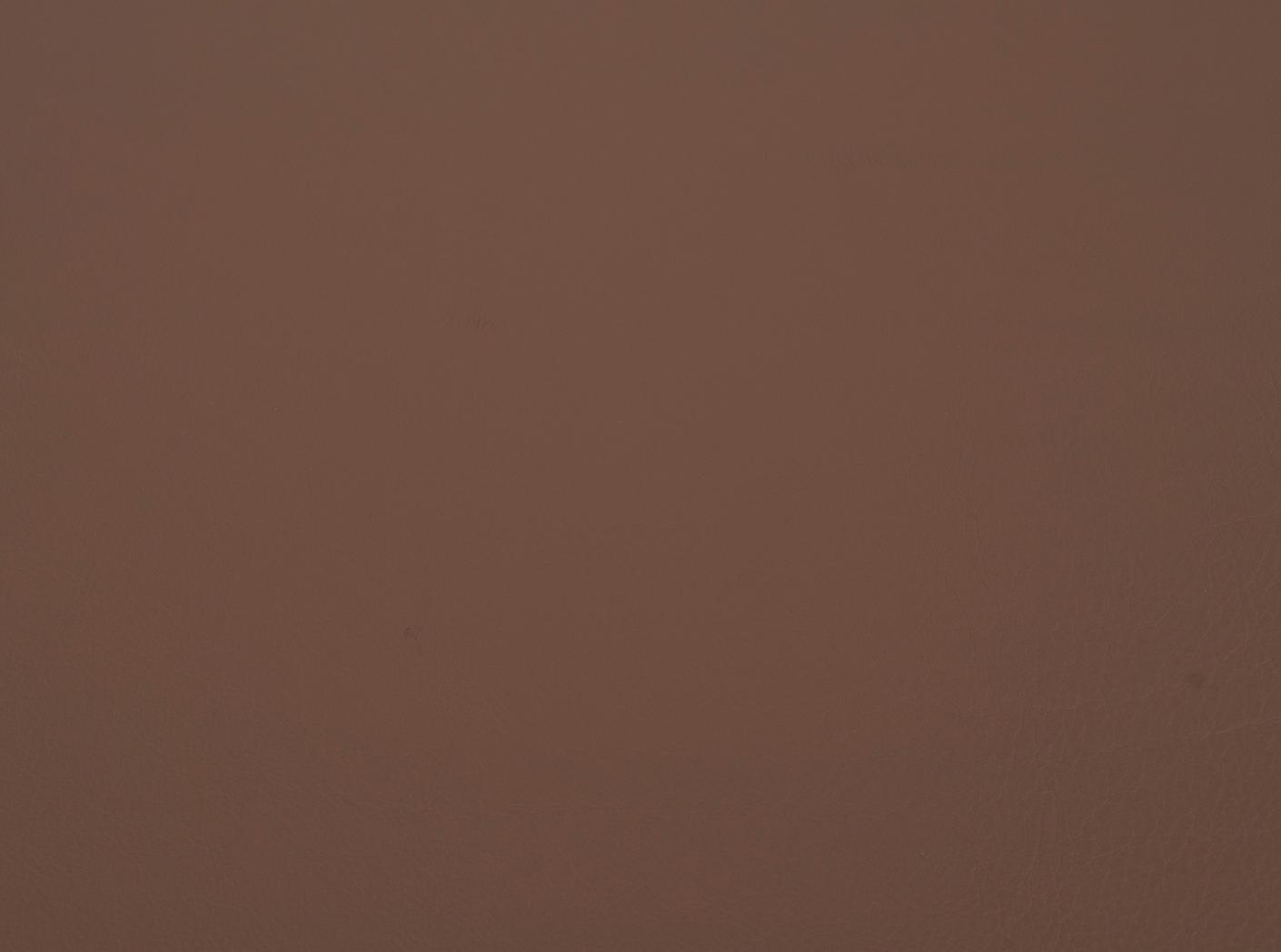 Challenger 066 Latte Challenger 066 Latte