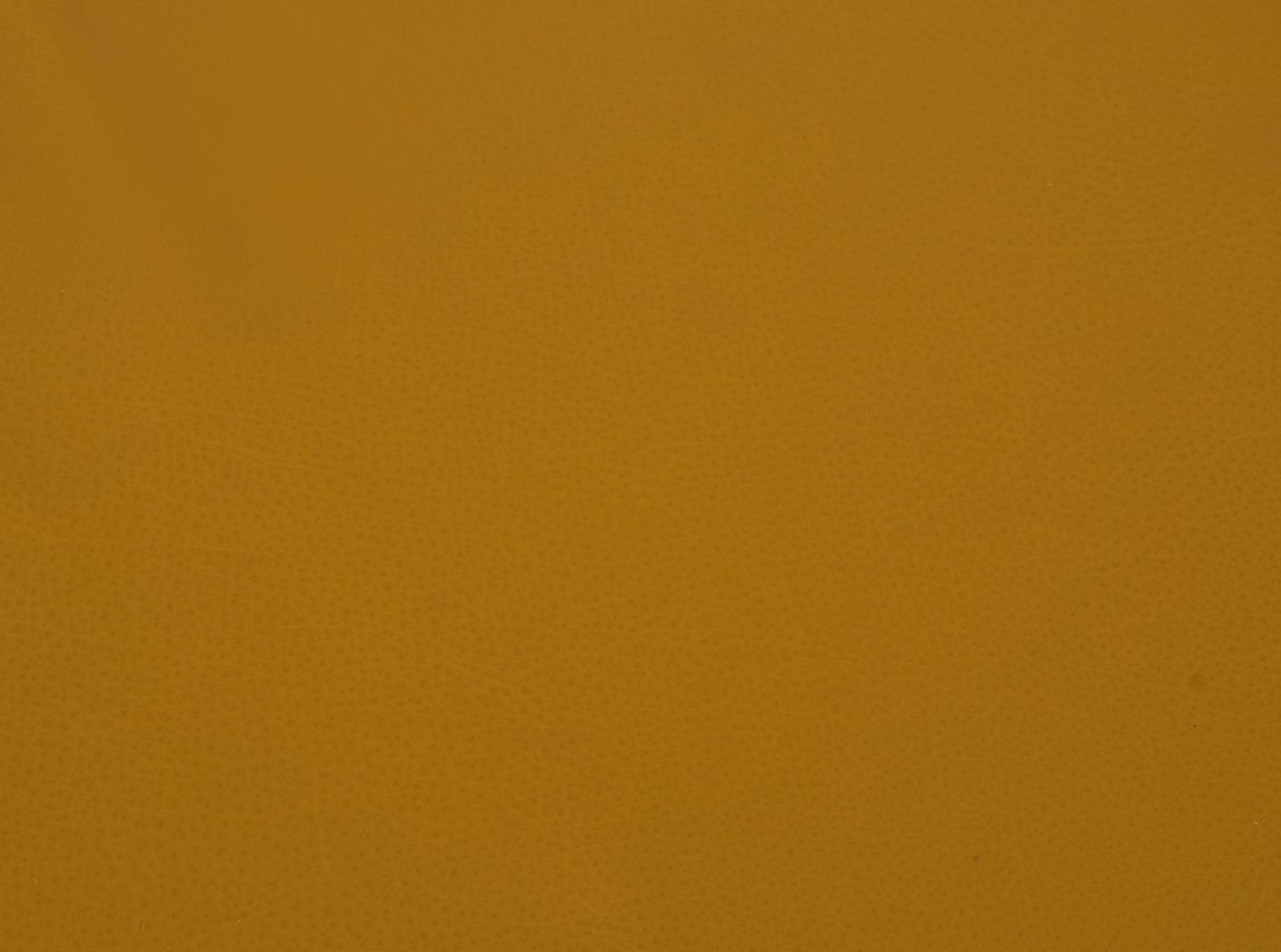 Challenger 005 Mustard Challenger 005 Mustard