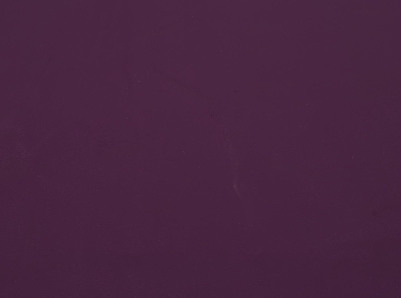 Challenger 031 Violet Challenger 031 Violet