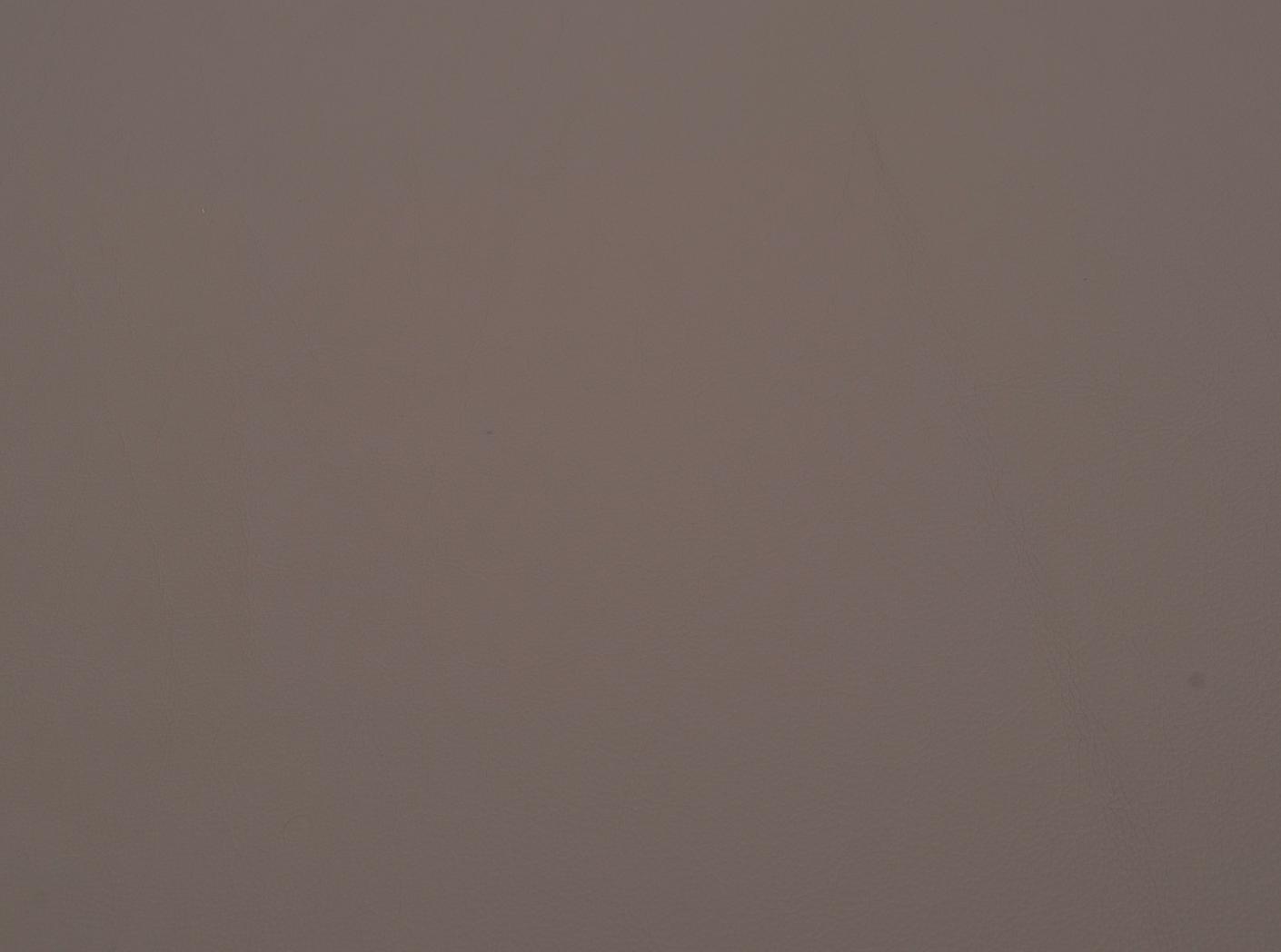 Challenger 017 Fog Challenger 017 Fog