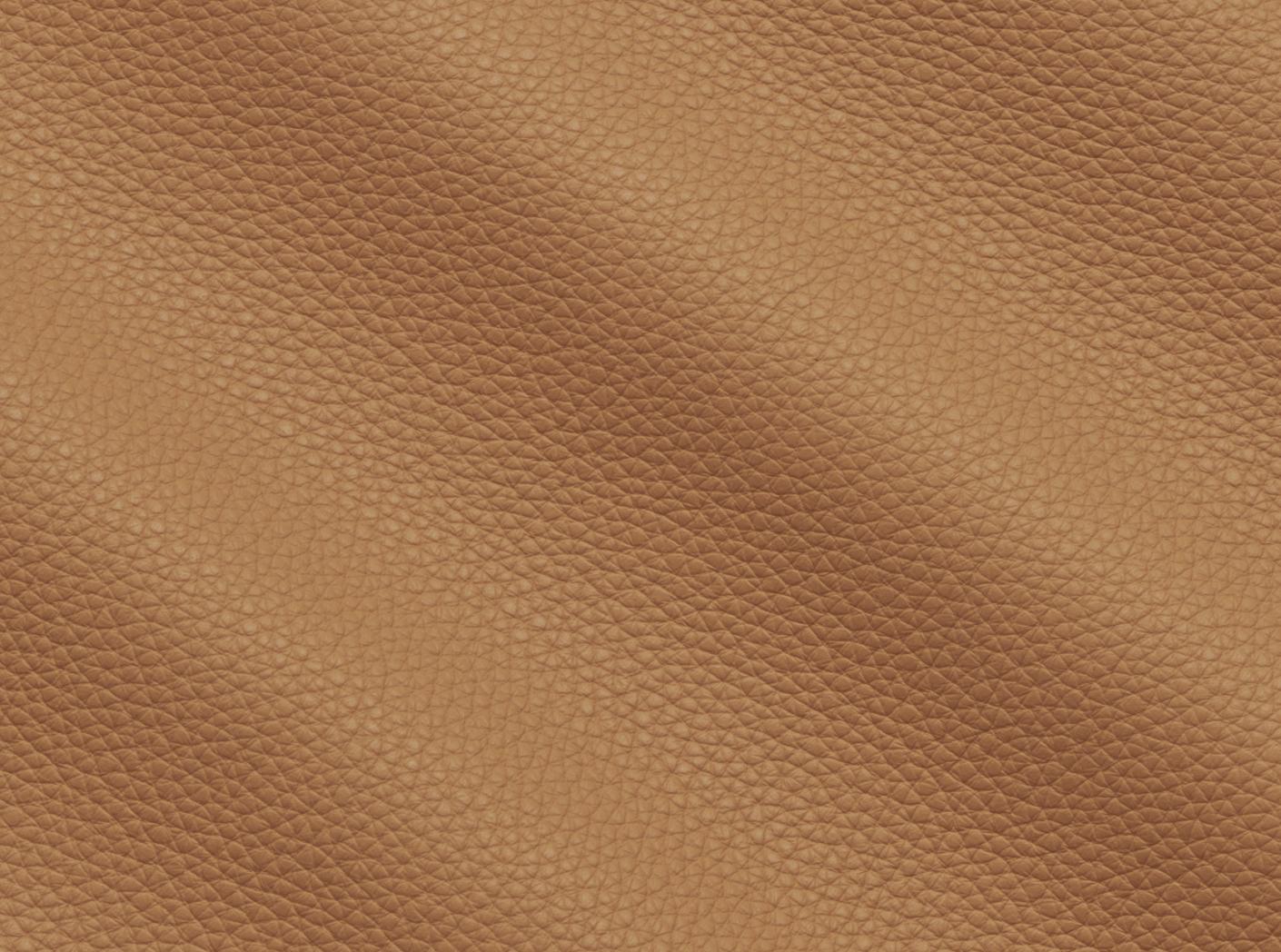 Prescott EU 221 Lion Prescott EU 221 Lion