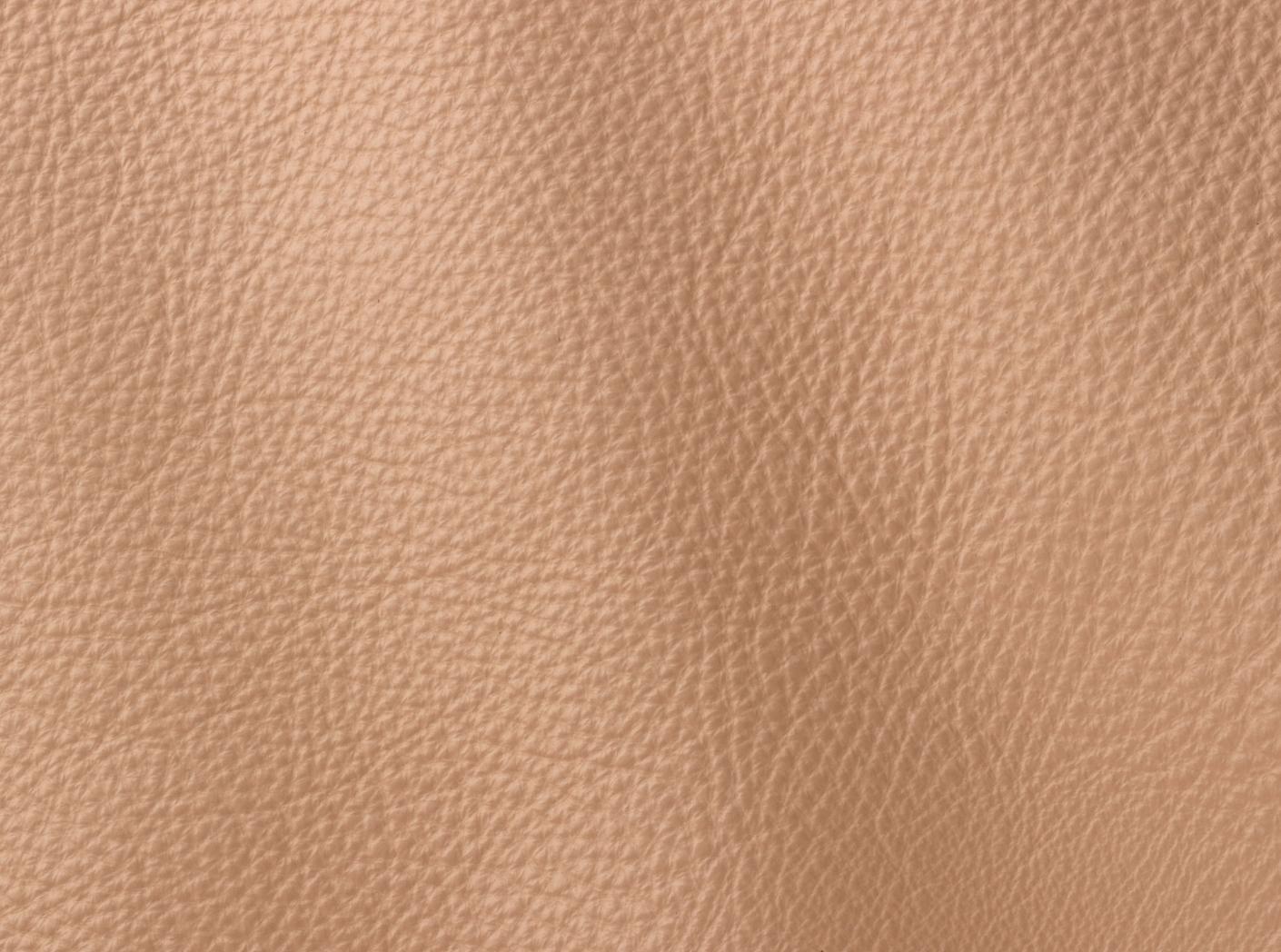 Prescott EU 225 Coriander Prescott EU 225 Coriander