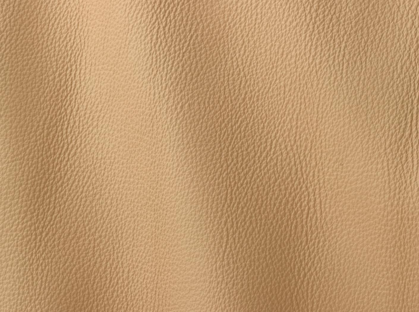 Prescott EU 296 Light Prescott EU 296 Light