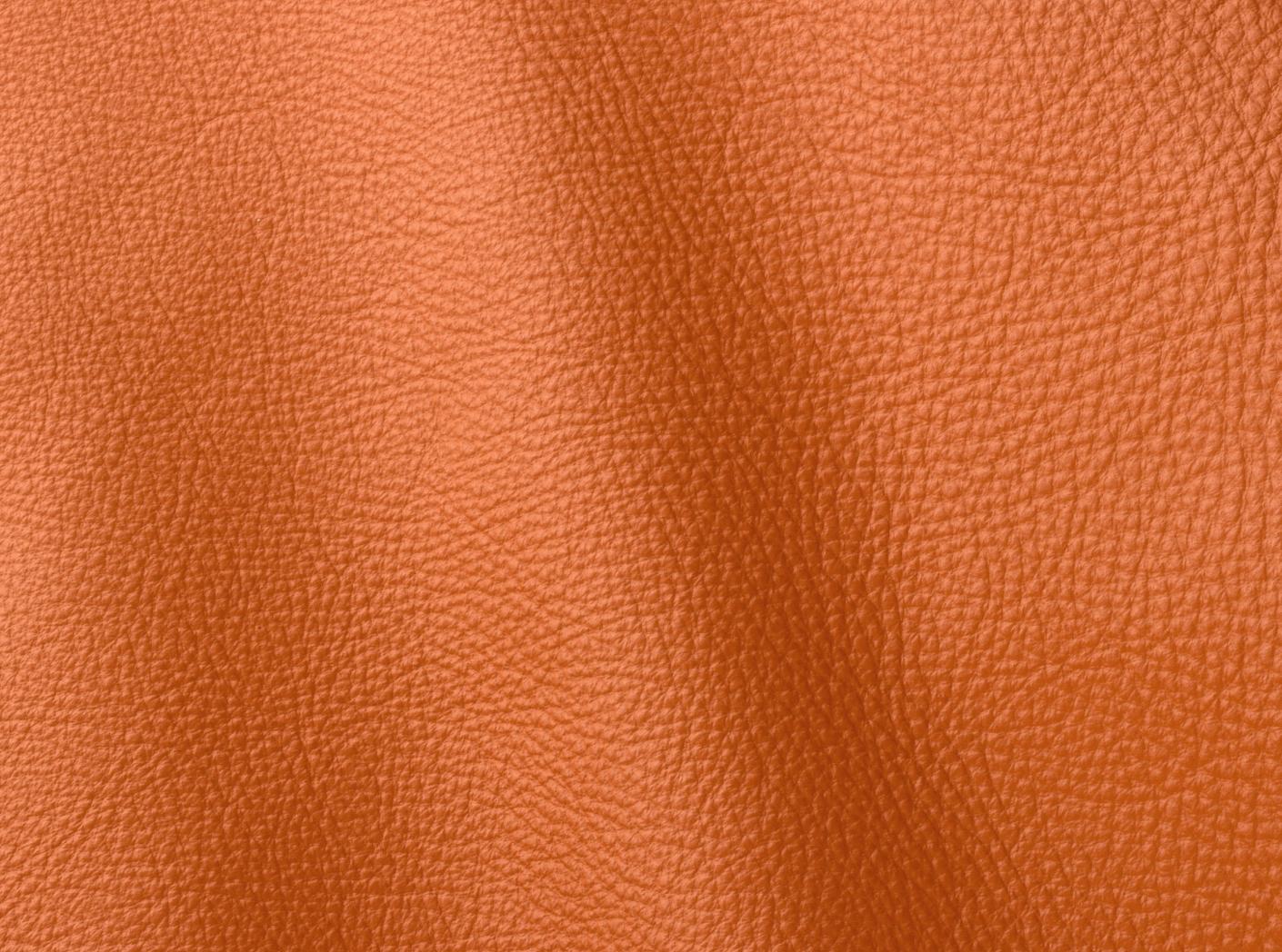 Prescott EU 246 Claw Prescott EU 246 Claw