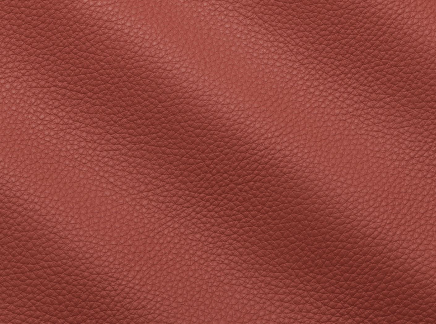 Prescott EU 240 Begonia Prescott EU 240 Begonia