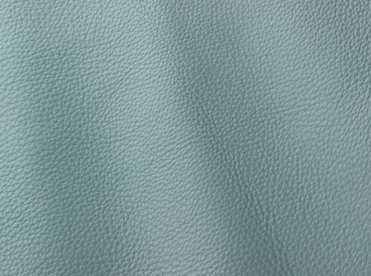 Prescott EU 265 Lichene Prescott EU 265 Lichene