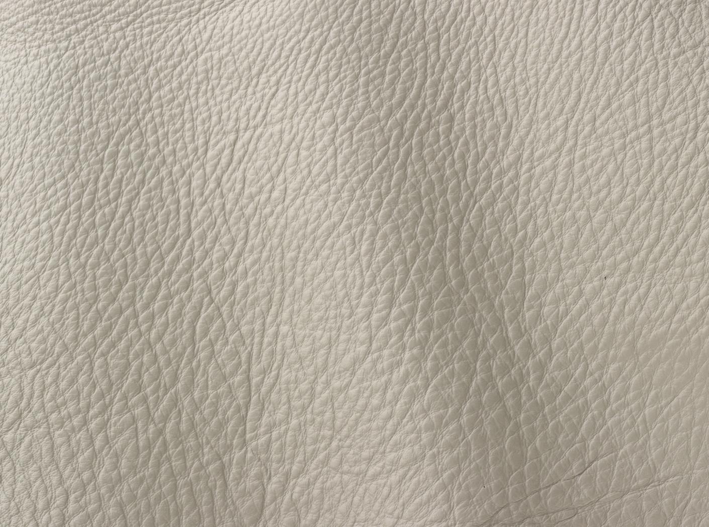 Prescott EU 209 Turtledove Prescott EU 209 Turtledove