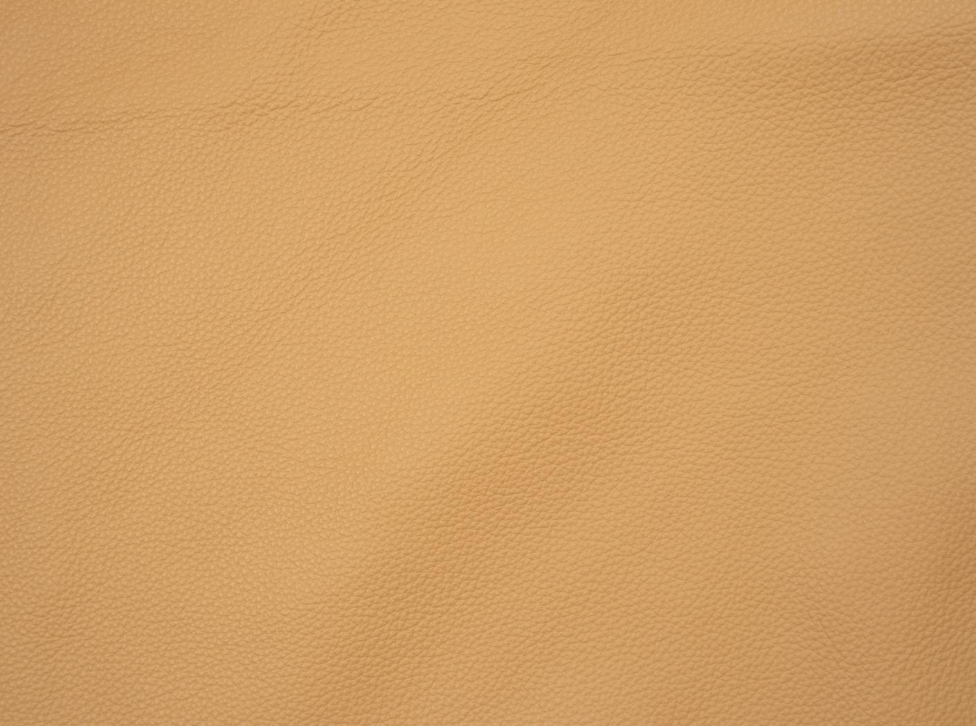 Prescott SA 222 Cinnamon Prescott SA 222 Cinnamon