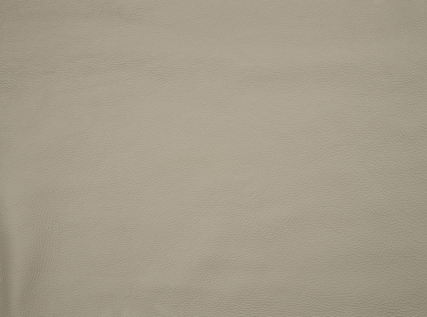 Prescott SA 9445 Mushroom Prescott SA 9445 Mushroom