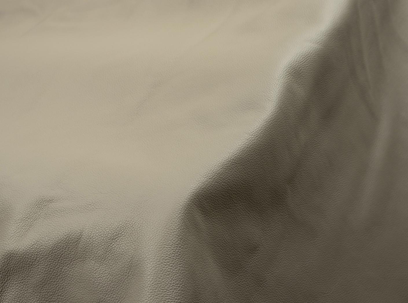 Prescott SA 9445 Mushroom Prescott SA 9445 Mushroom