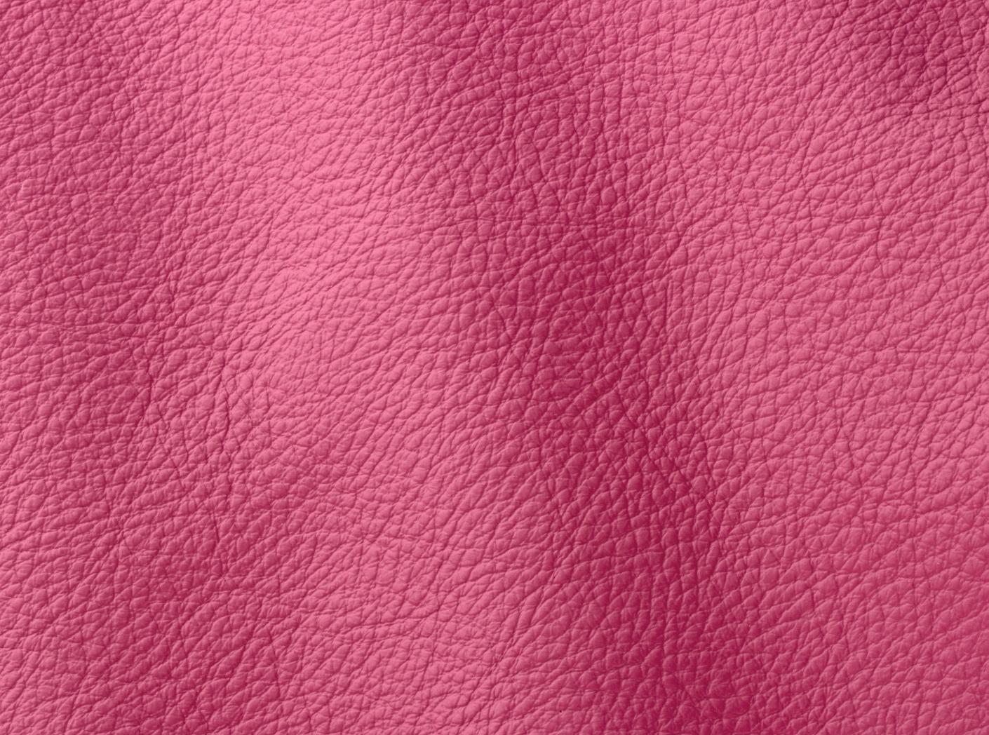 Atlantic 544 Camelia Atlantic 544 Camelia