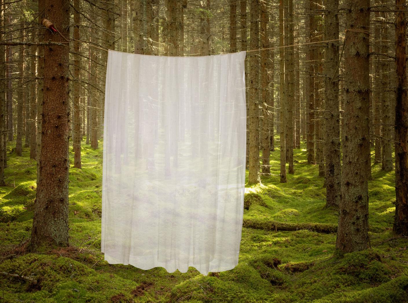 Gardin Modena FR 100 Natural 300 cm Gardin Modena FR 100 Natural 300 cm