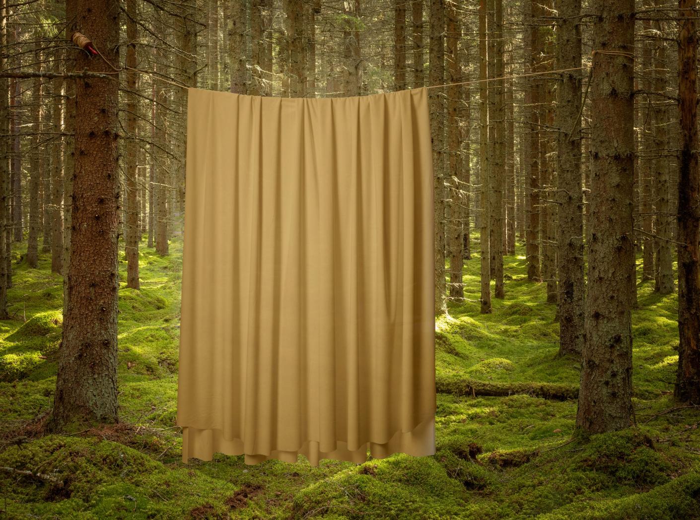 Gardin Roma Velvet FR 62 Mustard 300 cm Gardin Roma Velvet FR 62 Mustard 300 cm