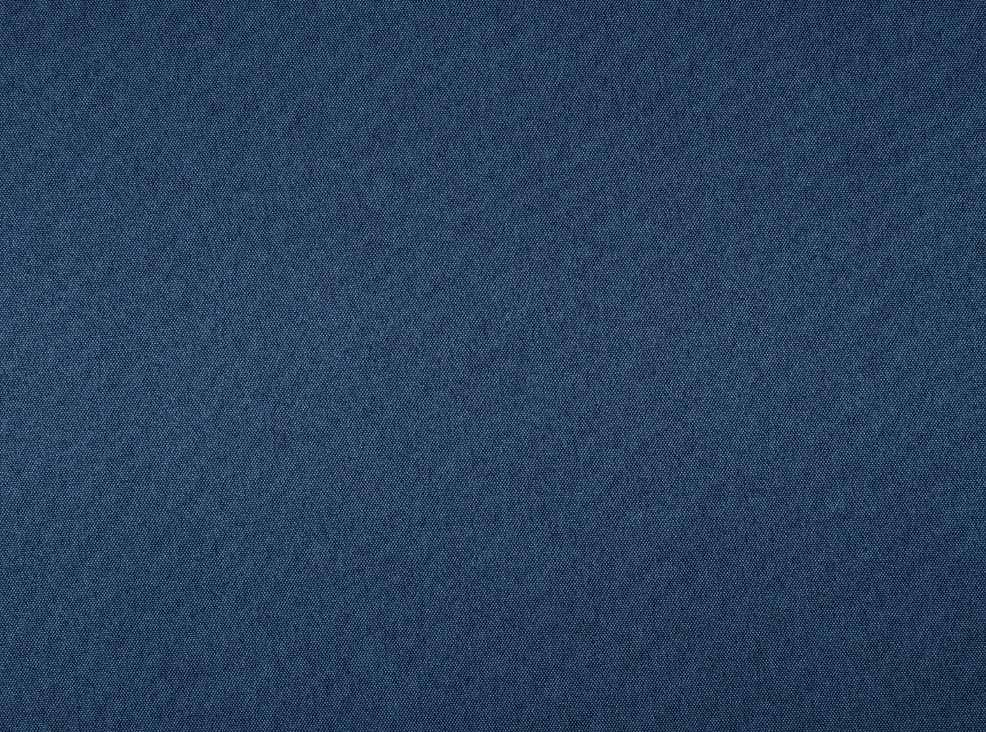 Fiesta 12 Racing blue Fiesta 12 Racing blue