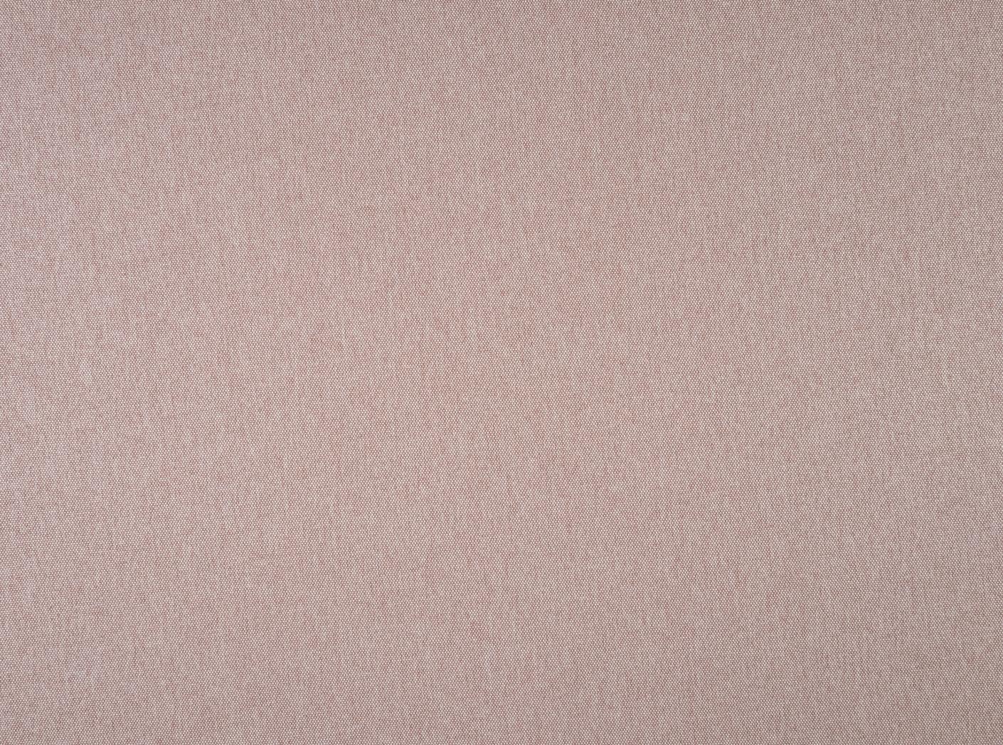 Fiesta 114 Pale rose Fiesta 114 Pale rose