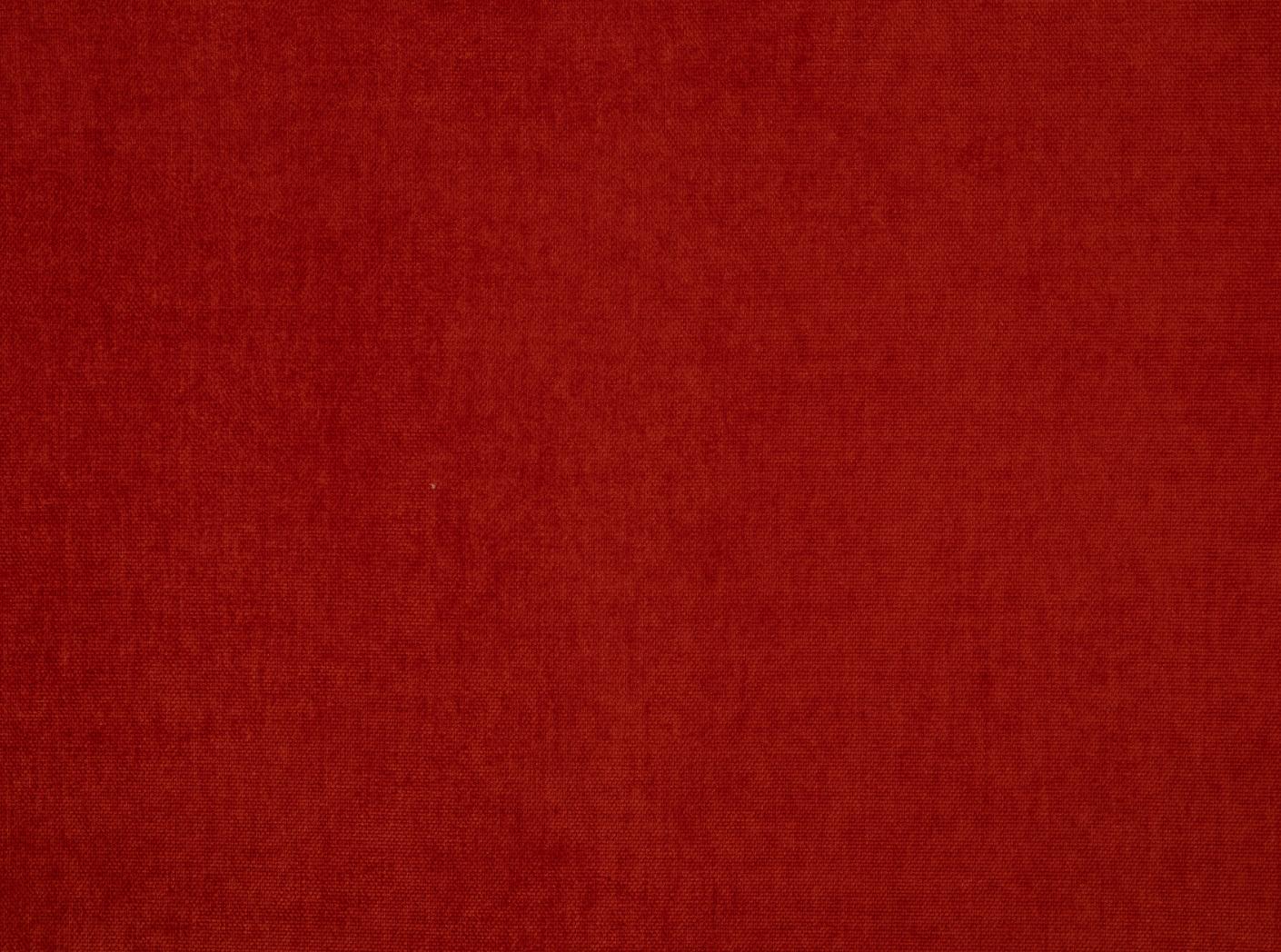 Grace 40 Tomato  Grace 40 Tomato