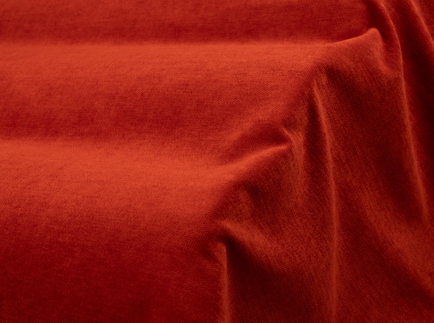 Grace 40 Tomato  Grace 40 Tomato