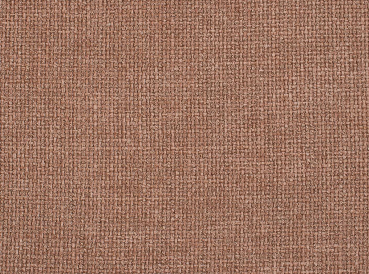 Lazy 21 Rose Lazy 21 Rose