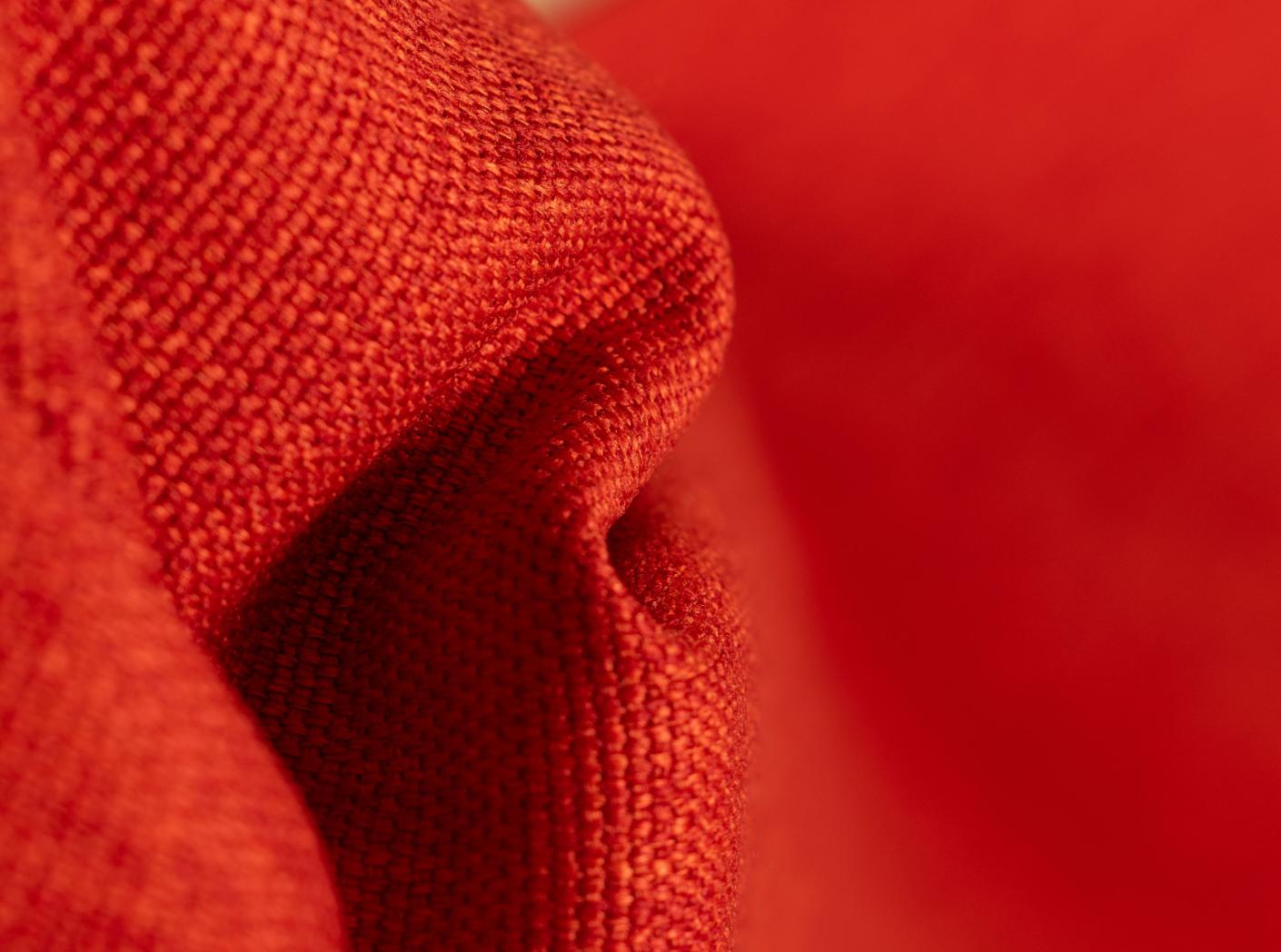 Lido 41 tulip Lido 41 tulip