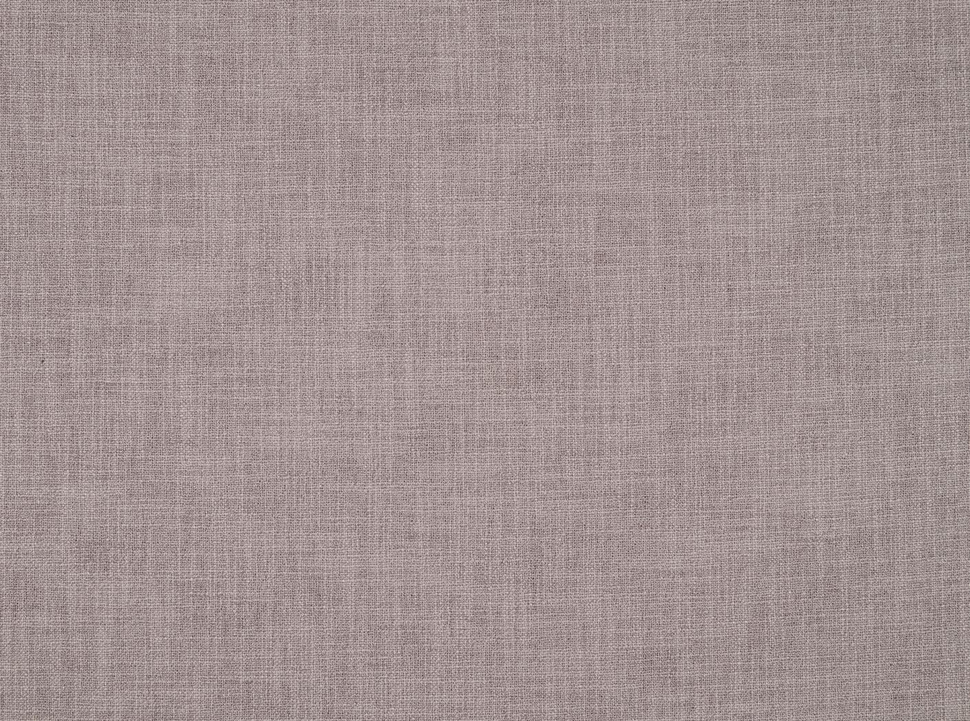 Mauro 18 Orchid Mauro 18 Orchid