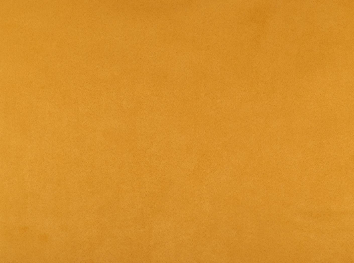 Macau soft 502 Narcissus Macau soft 502 Narcissus