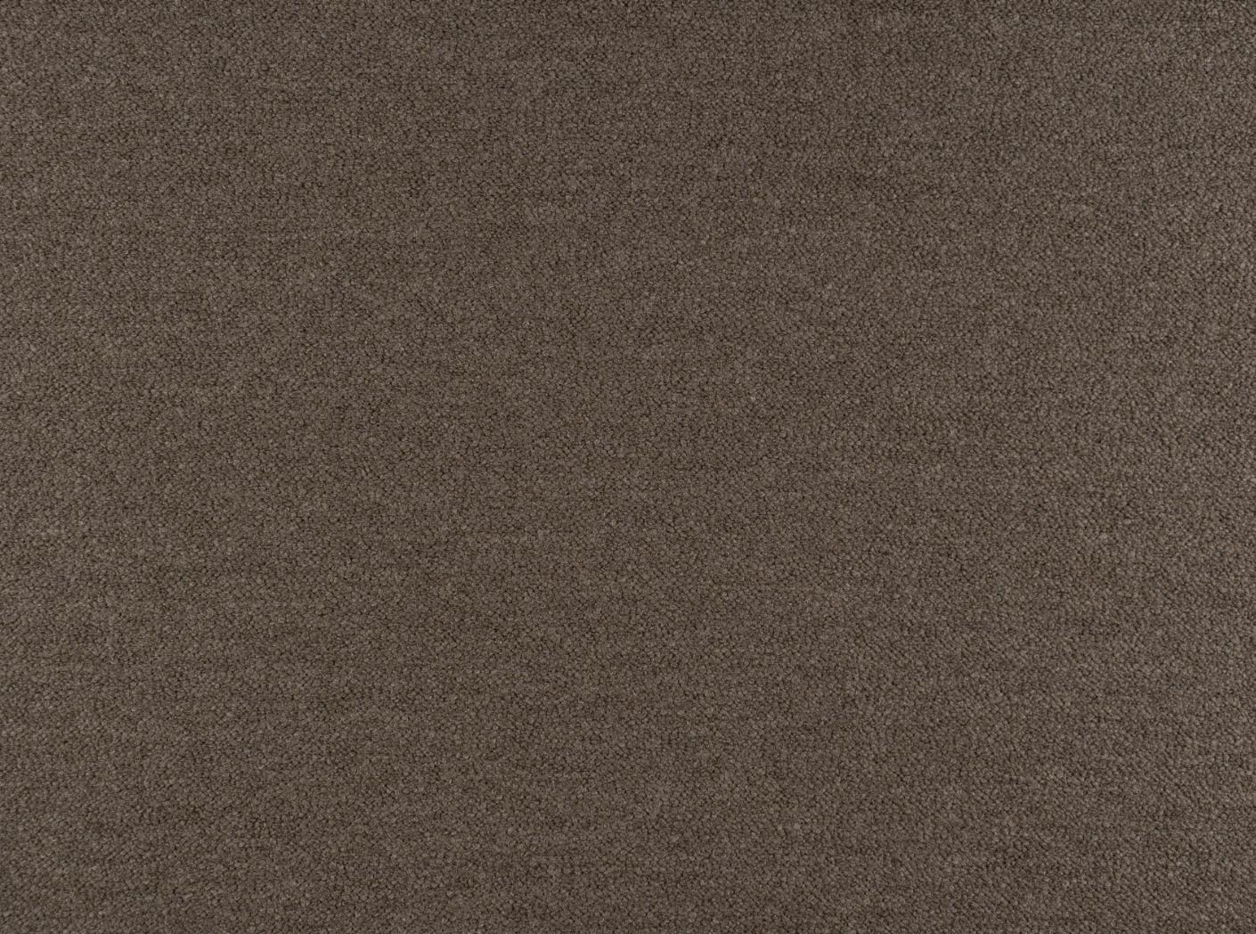 Barnum 10 Dark taupe Barnum 10 Dark taupe