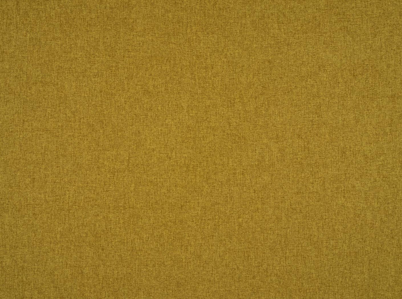 Stella 51 Olive Stella 51 Olive