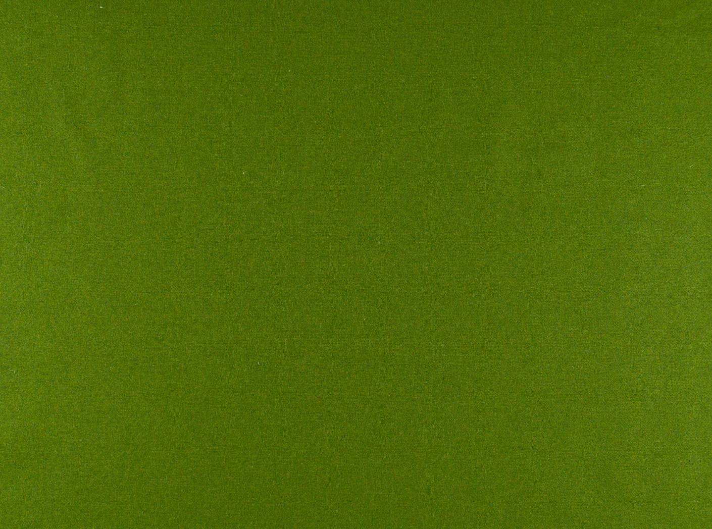 Wooly 2079 green Wooly 2079 green