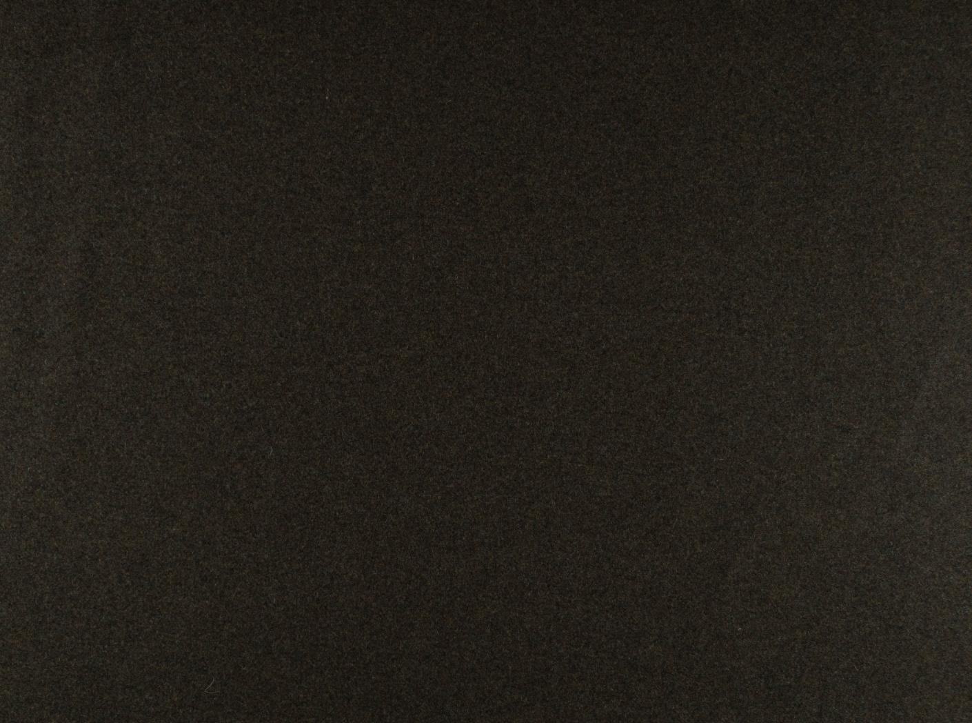 Wooly 1010 forest Wooly 1010 forest