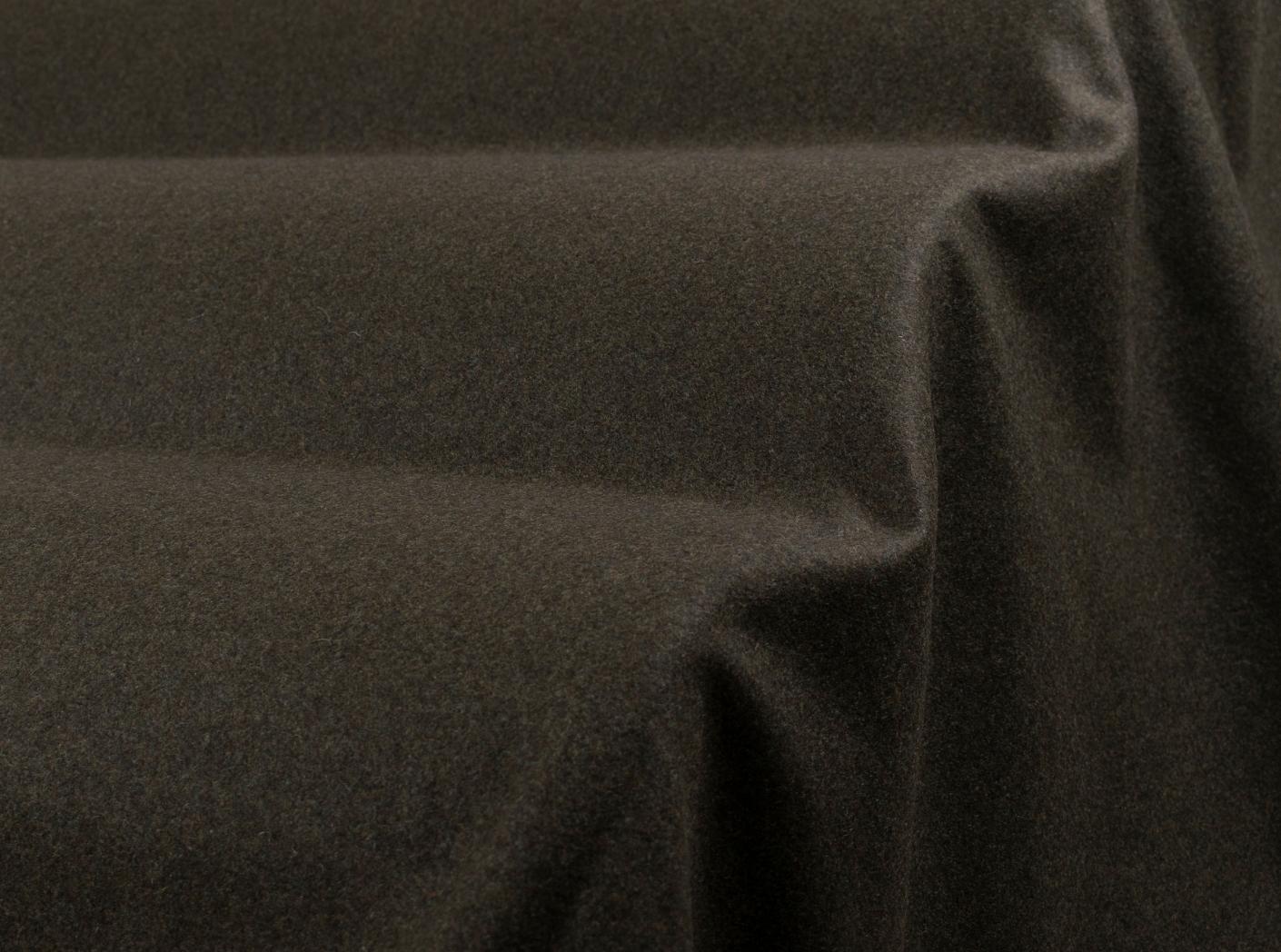 Wooly 1010 forest Wooly 1010 forest