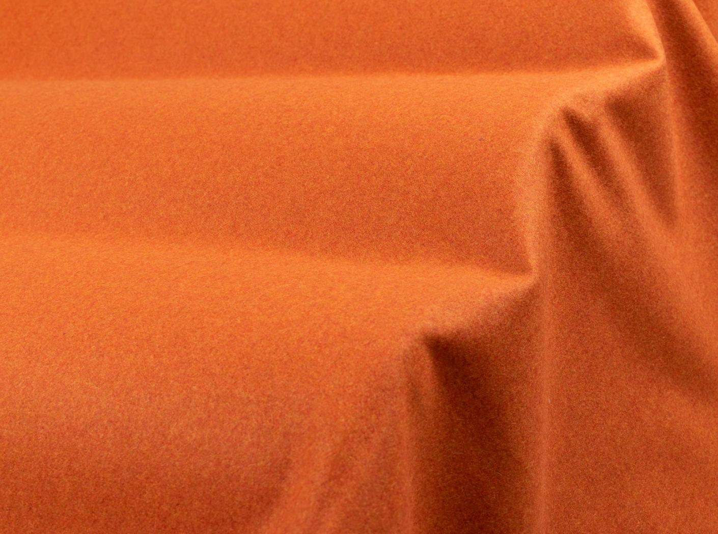 Wooly 2012 B terra Wooly 2012 B terra