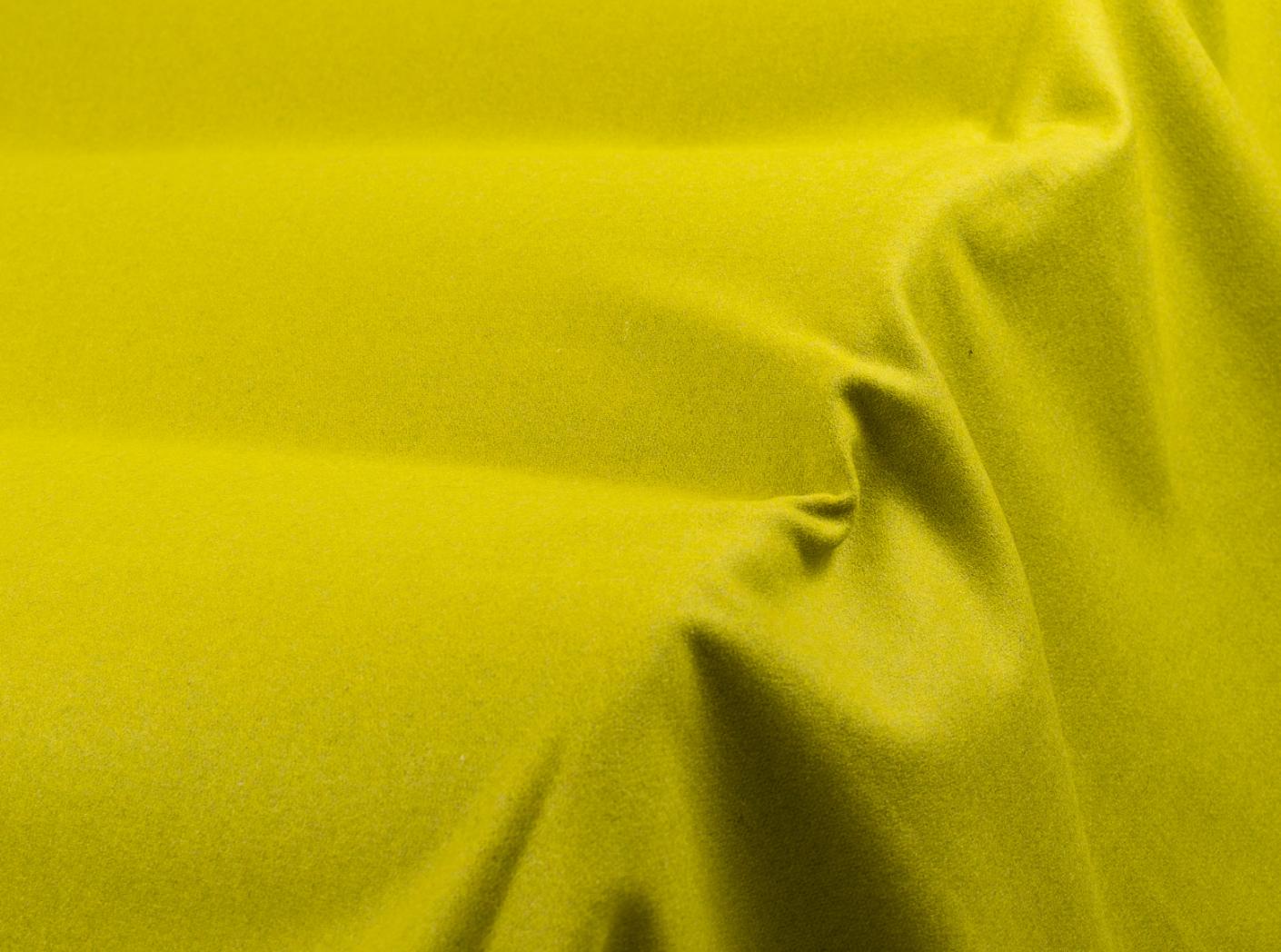 Wooly 9759 Leaf Wooly 9759 Leaf