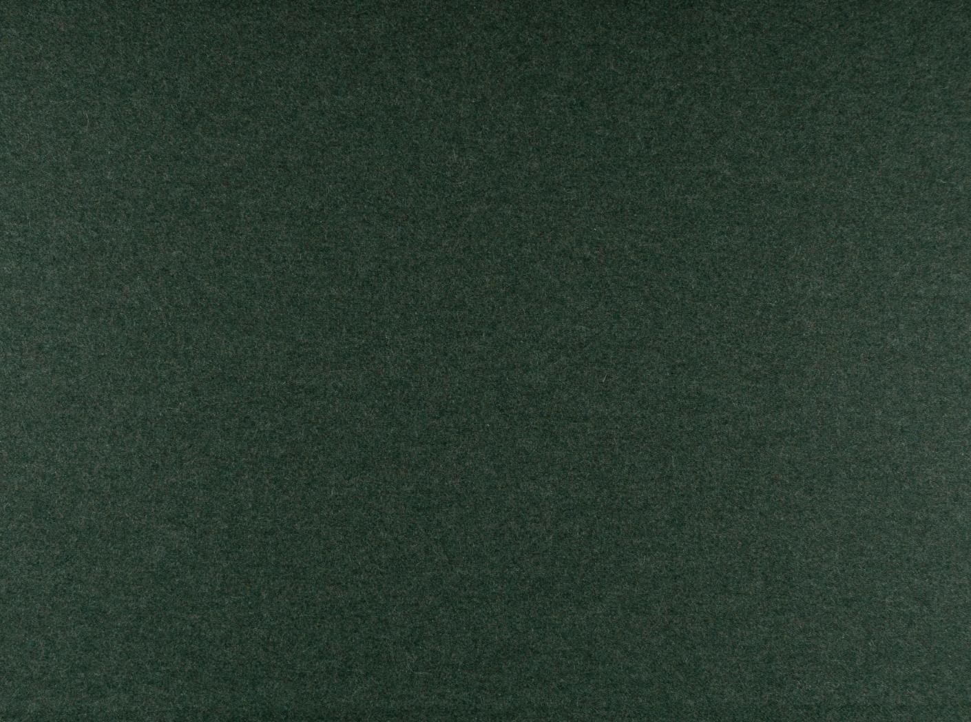 Wooly 840069 Juniper Wooly 840069 Juniper