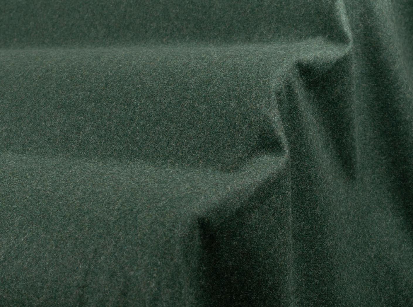 Wooly 840069 Juniper Wooly 840069 Juniper