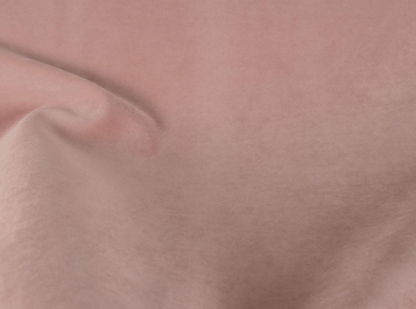 Megan 75 Orchid Megan 75 Orchid