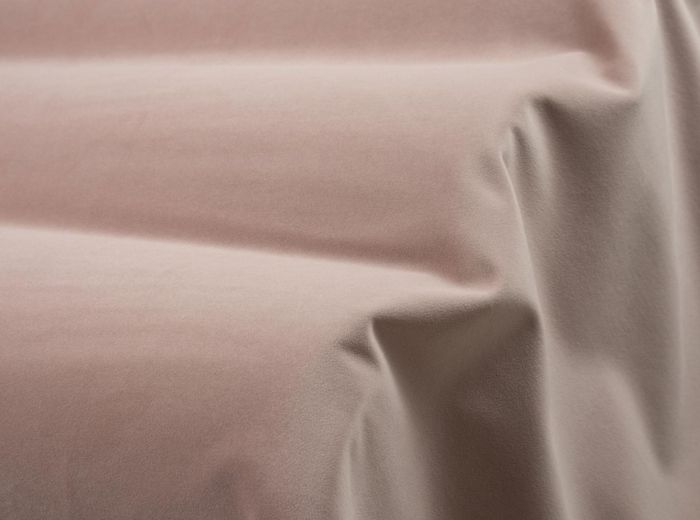 Megan 75 Orchid Megan 75 Orchid