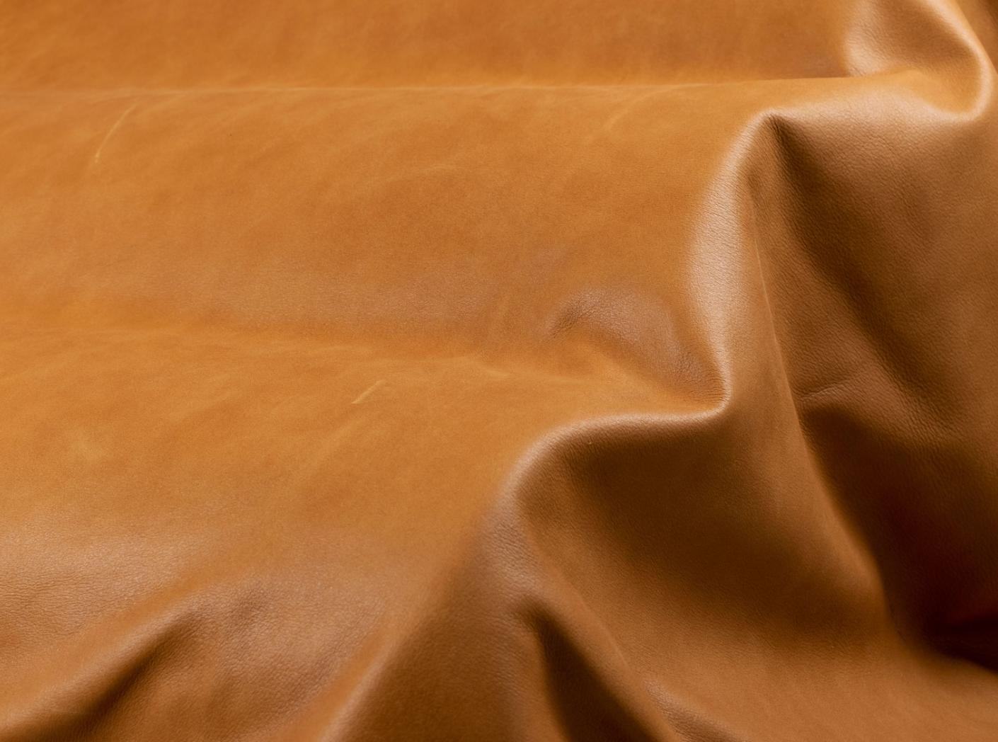 Vintage Cognac EU Vintage Cognac EU