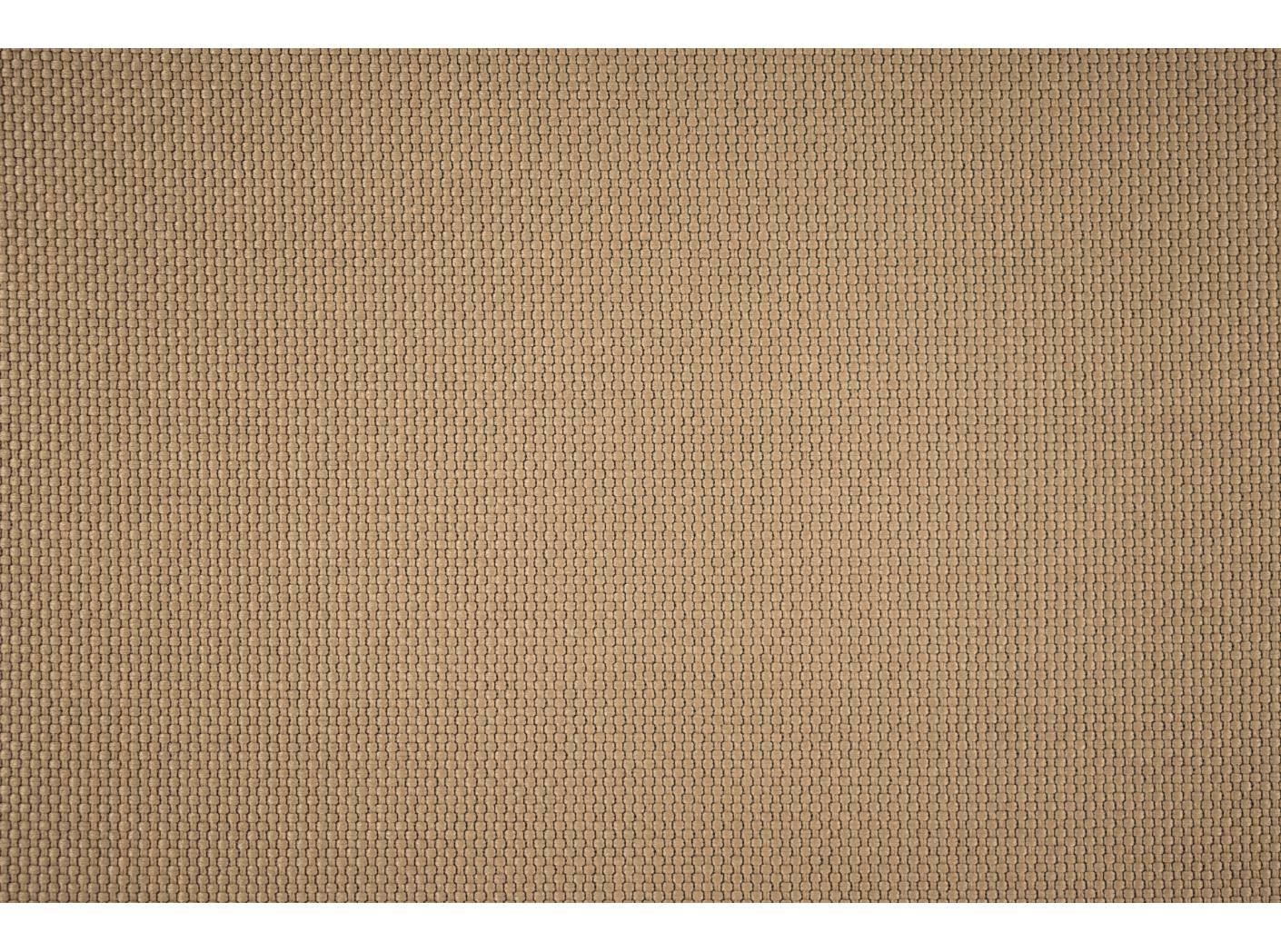 Intro CS 1014 Taupe Intro CS 1014 Taupe