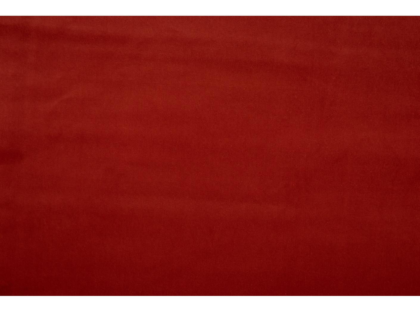 Ritz 3109, tomato Ritz 3109, tomato