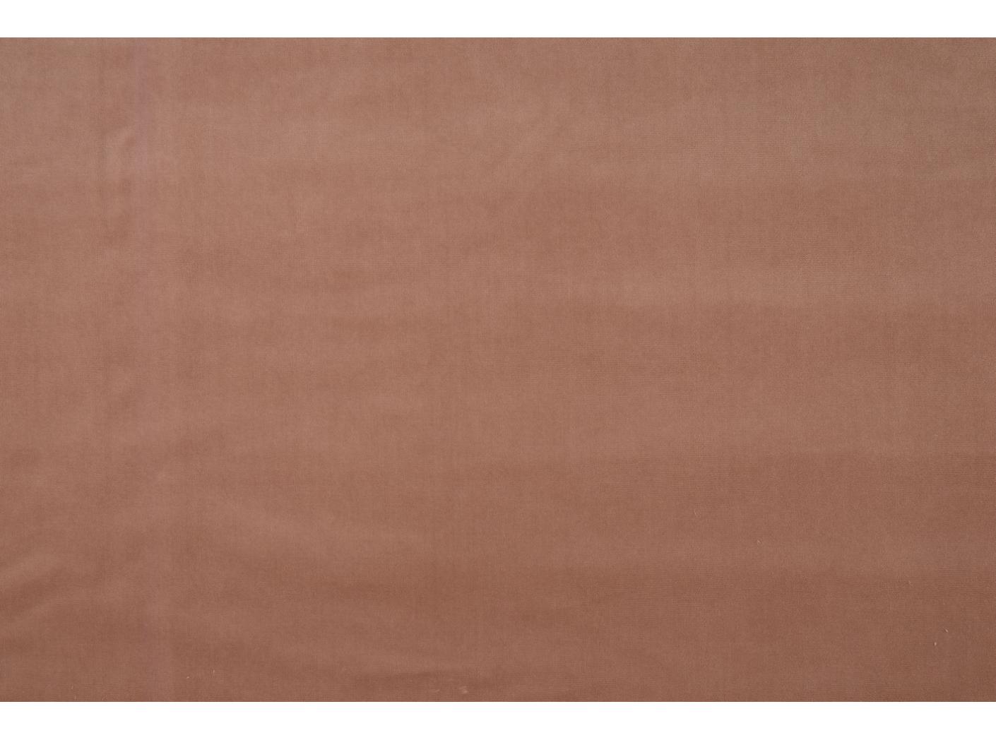 Ritz 2669, shadow rose Ritz 2669, shadow rose