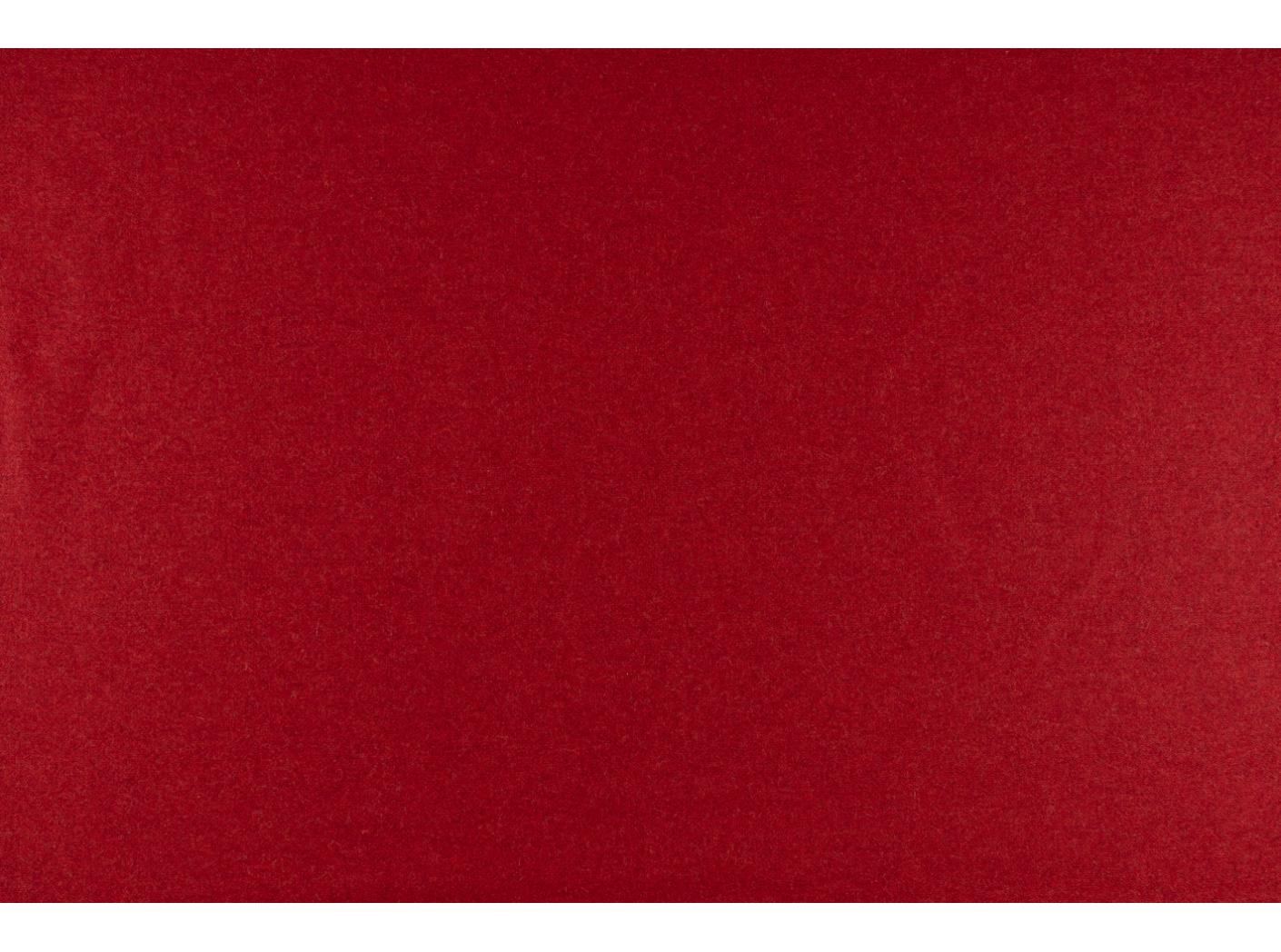 Wooly 2011 tulip Wooly 2011 tulip