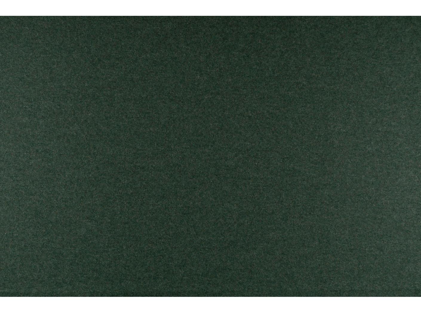 Wooly 840069 Juniper Wooly 840069 Juniper