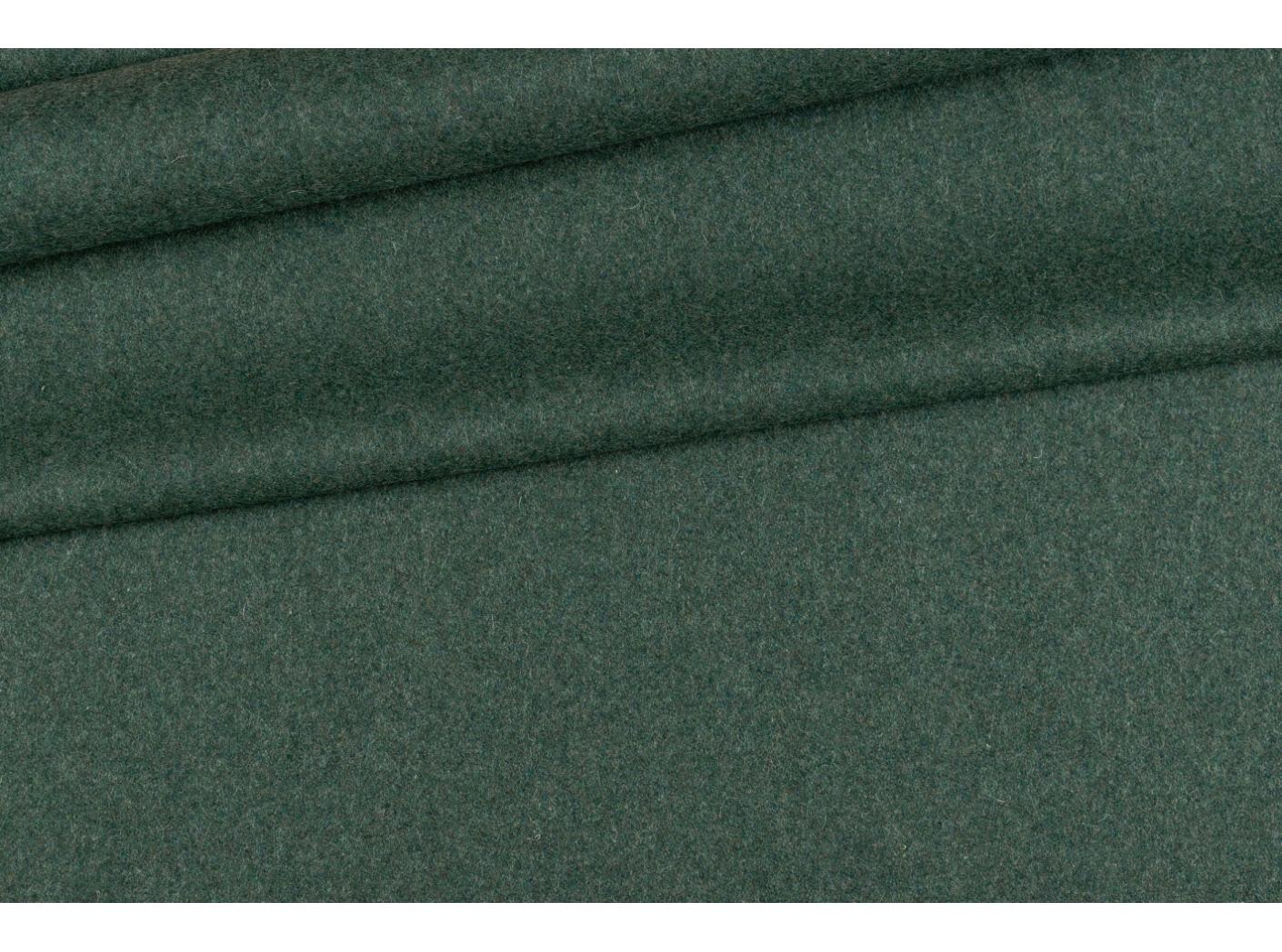 Wooly 840069 Juniper Wooly 840069 Juniper