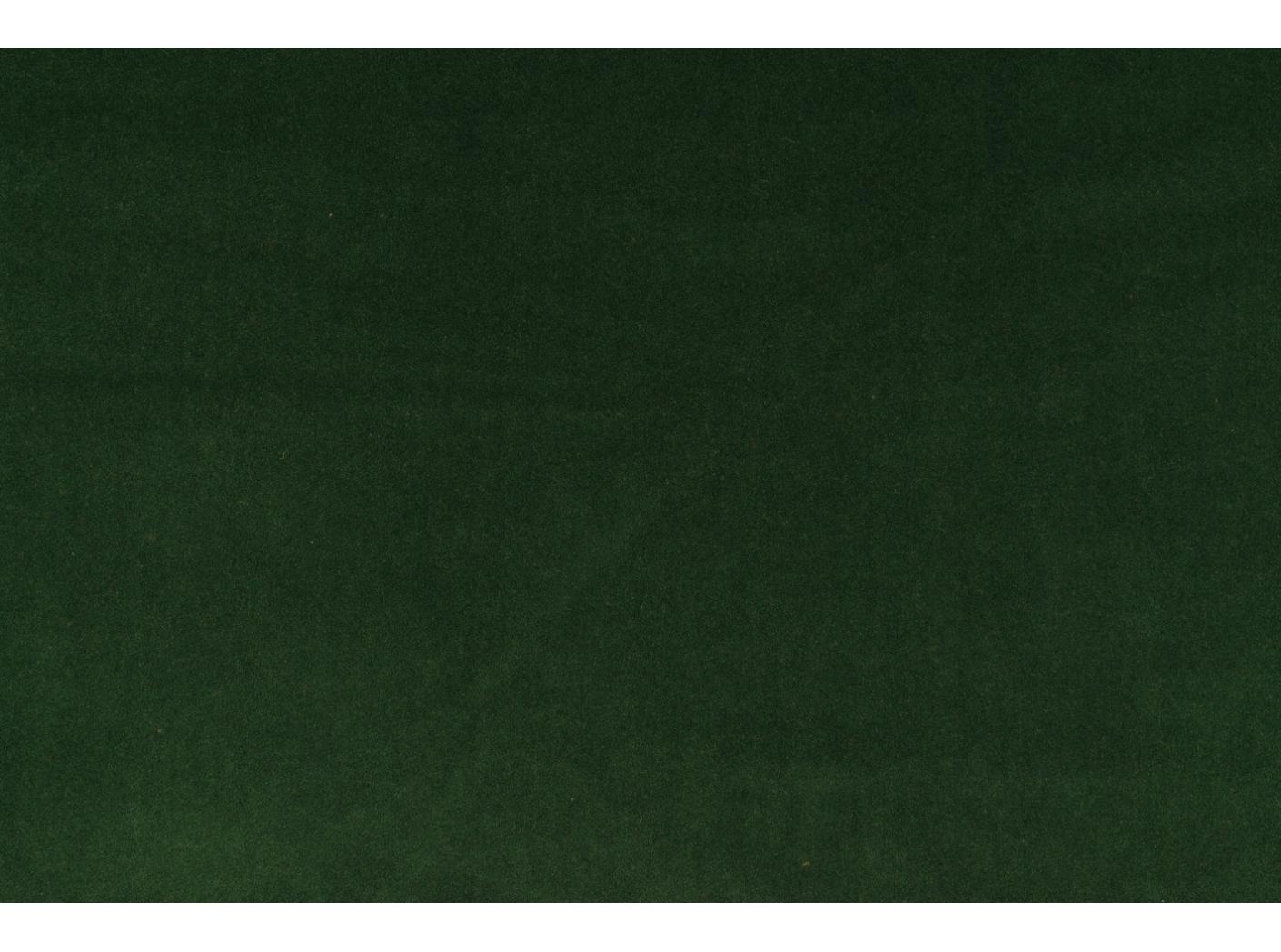 Megan+ 73 Bonzai Megan+ 73 Bonzai