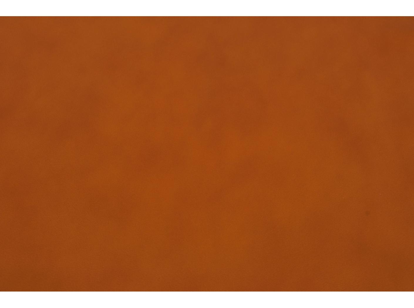 Challenger 025 Cognac Challenger 025 Cognac