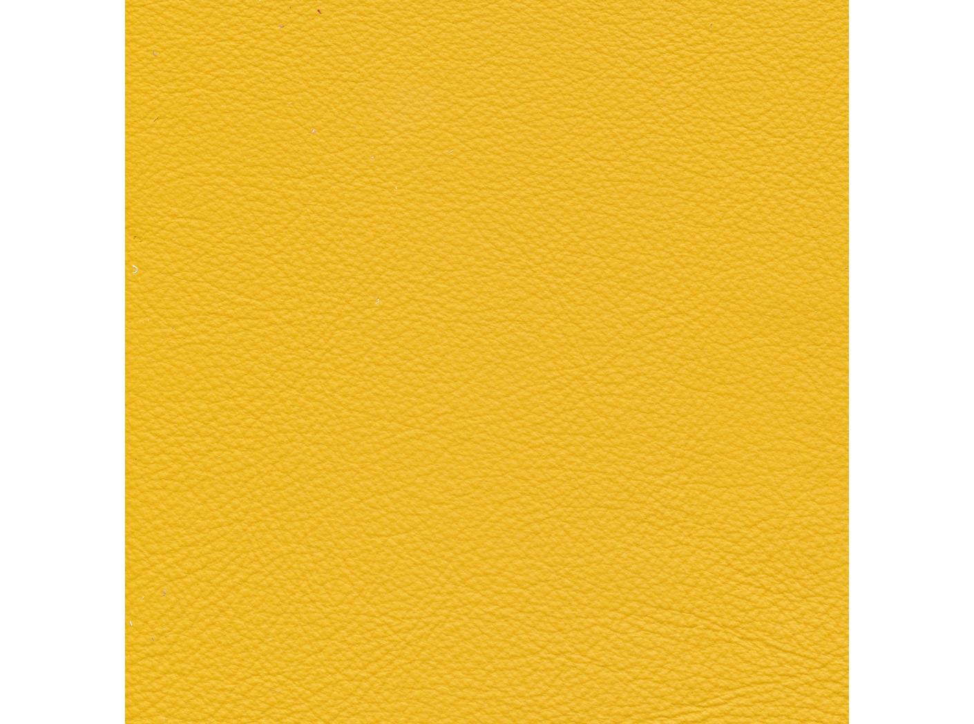 Linea 619 Giallino Linea 619 Giallino