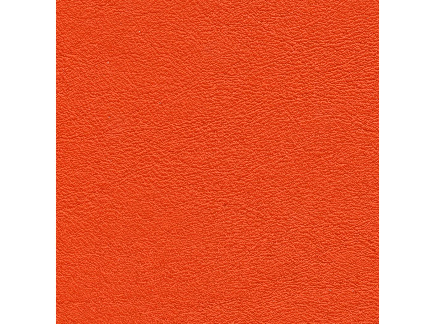 Linea 617 Begonia Linea 617 Begonia